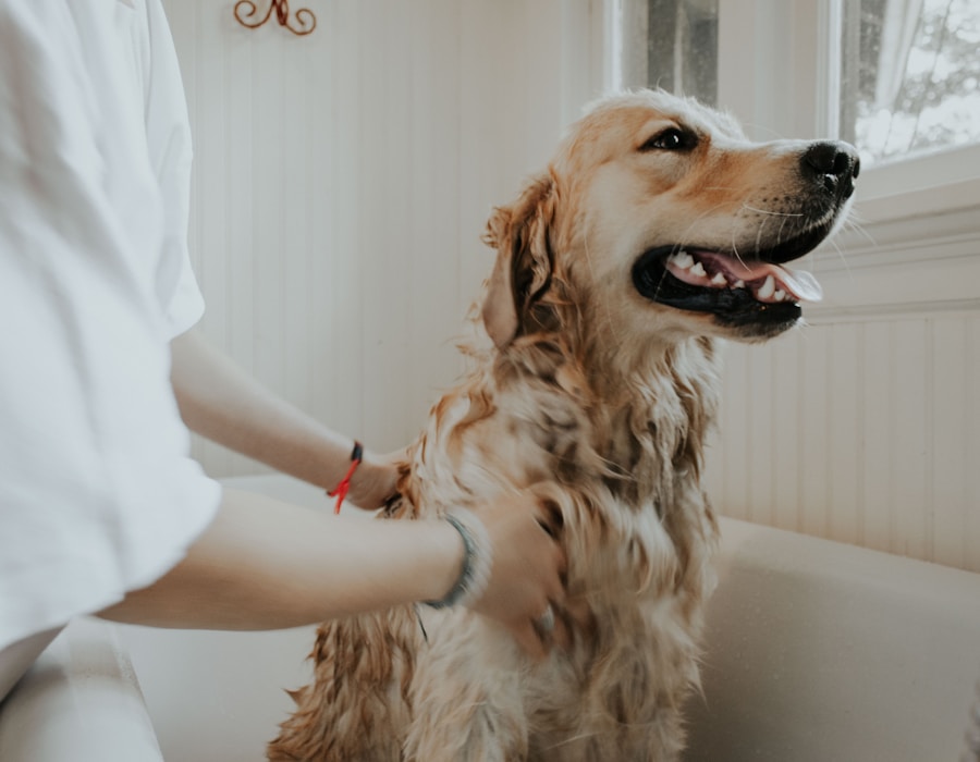 Veterinário a usar tablet na consulta
